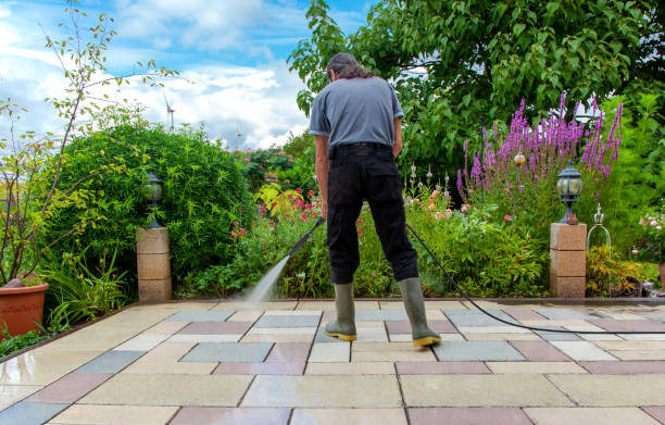 Animal Enclosure Cleaning in Arden Hills, MN